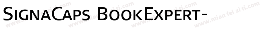 SignaCaps BookExpert字体转换